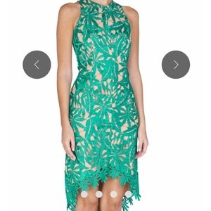 Adelyn Rae High-Low Lace Cocktail Dress (size S)